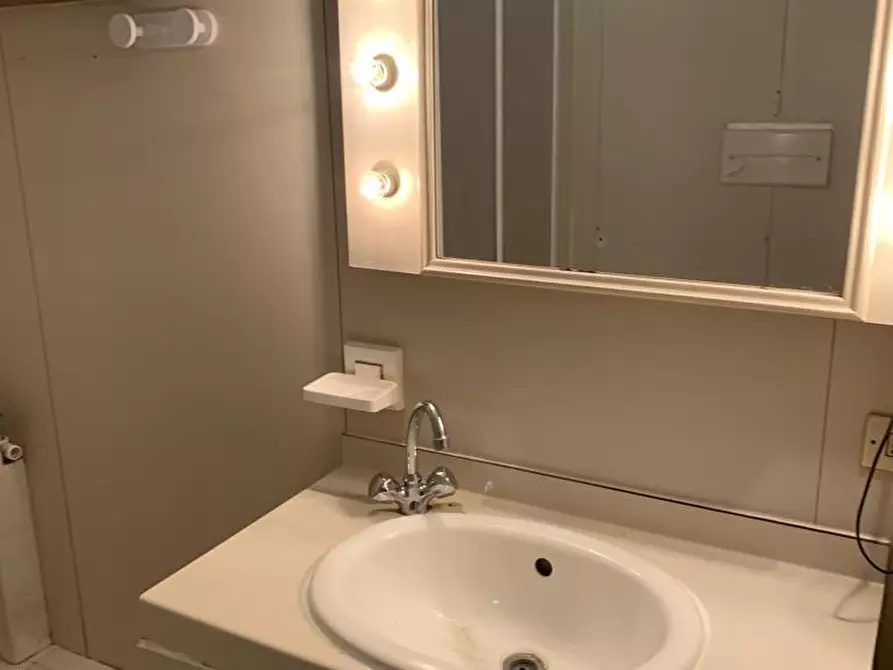 Immagine 28 di Appartamento in vendita  a Bibbona