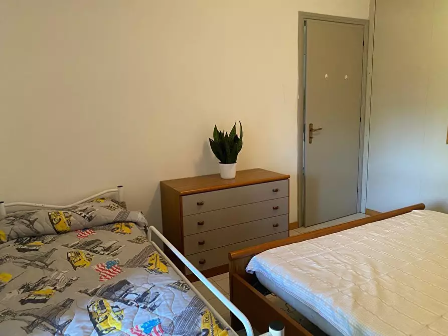 Immagine 7 di Appartamento in vendita  a Bibbona