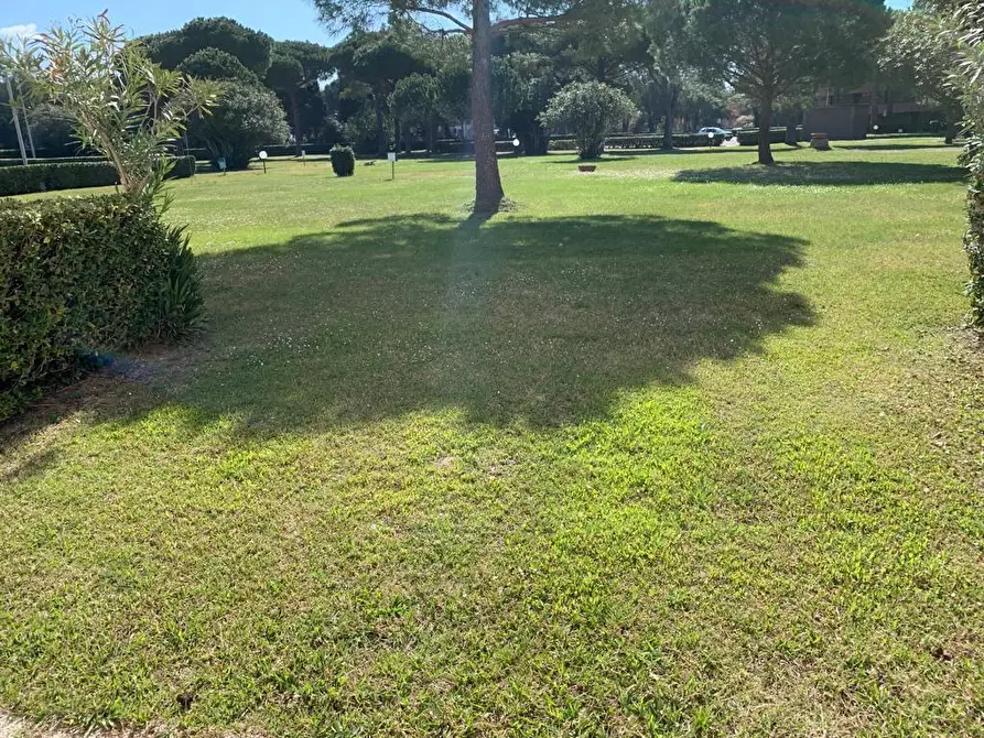 Immagine 3 di Appartamento in vendita  a Bibbona