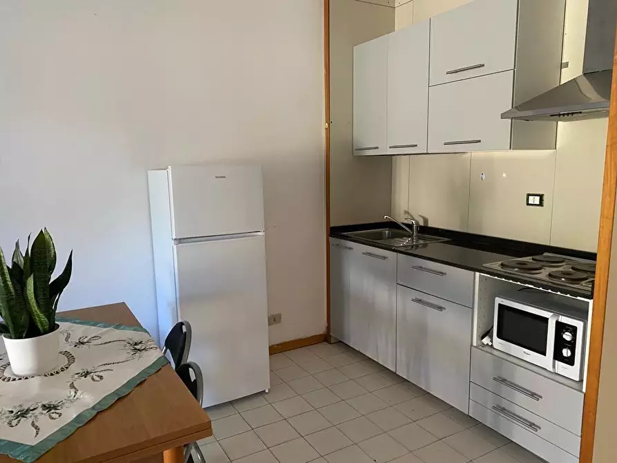 Immagine 11 di Appartamento in vendita  a Bibbona