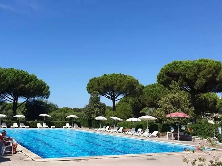 Immagine 18 di Appartamento in vendita  a Bibbona