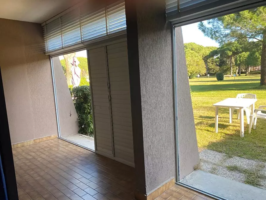 Immagine 14 di Appartamento in vendita  a Bibbona