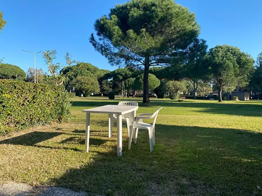 Immagine 16 di Appartamento in vendita  a Bibbona