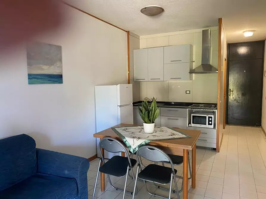 Immagine 21 di Appartamento in vendita  a Bibbona