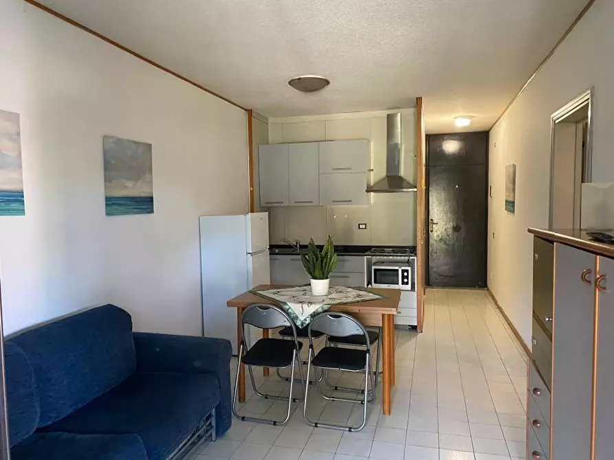 Immagine 19 di Appartamento in vendita  a Bibbona