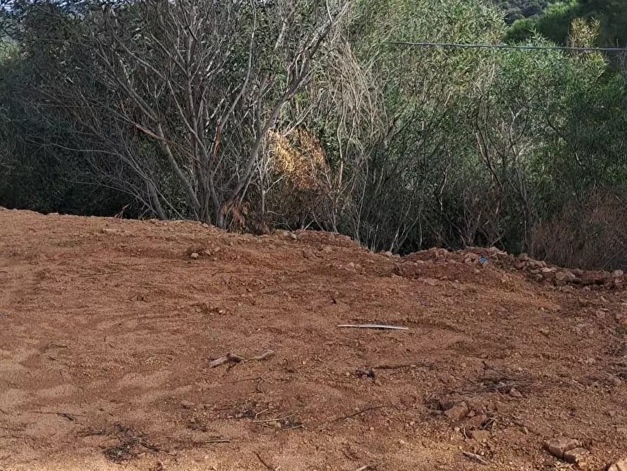 Immagine 11 di Villa in vendita  a Loiri Porto San Paolo