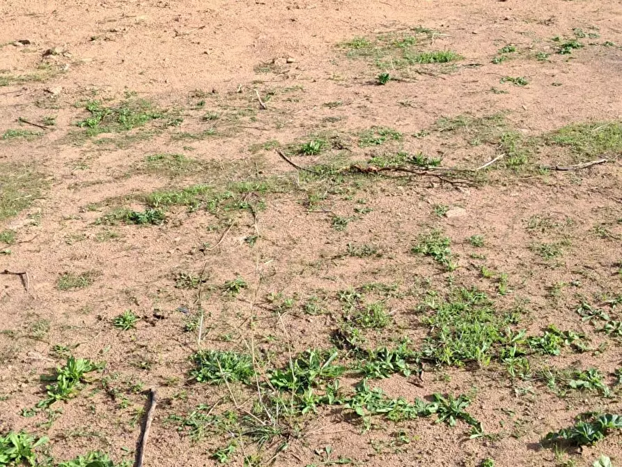 Immagine 8 di Villa in vendita  a Loiri Porto San Paolo