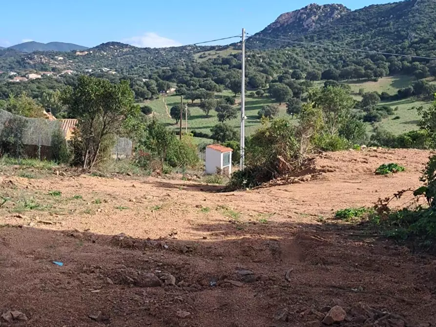 Immagine 3 di Villa in vendita  a Loiri Porto San Paolo