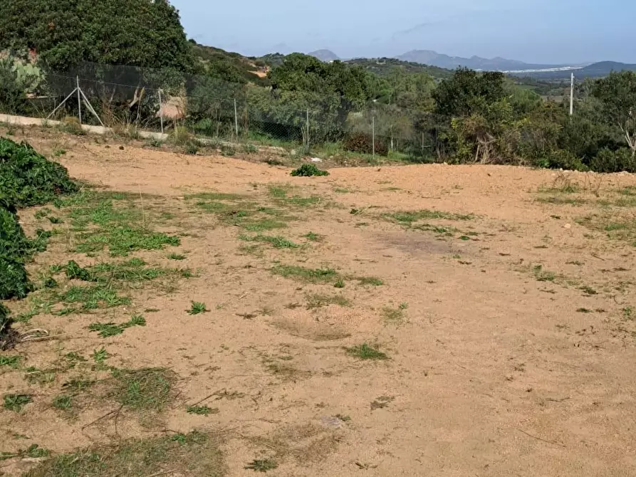 Immagine 16 di Villa in vendita  a Loiri Porto San Paolo