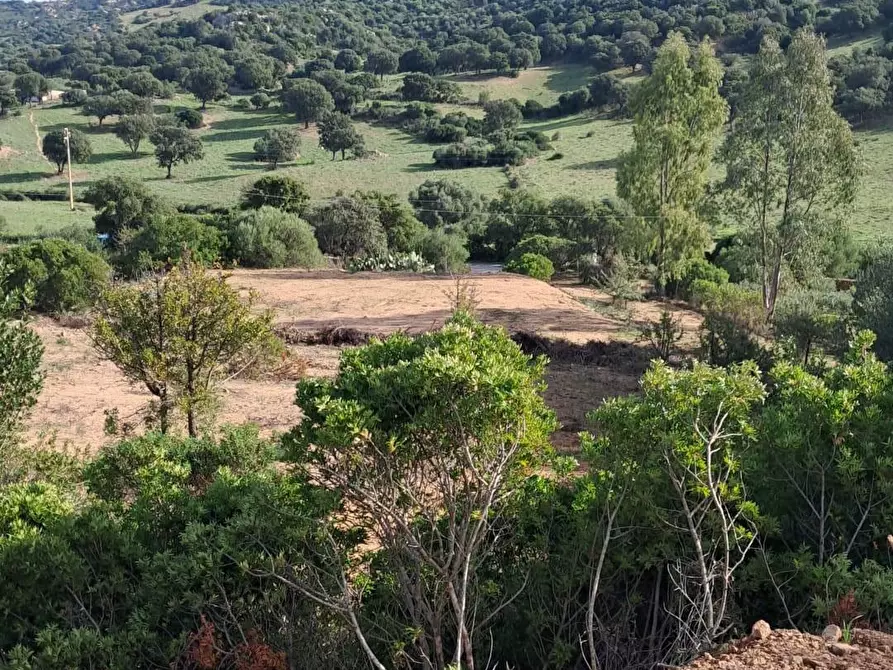Immagine 23 di Villa in vendita  a Loiri Porto San Paolo