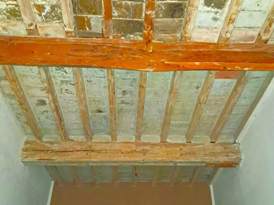 Immagine 13 di Appartamento in vendita  a Pontedera