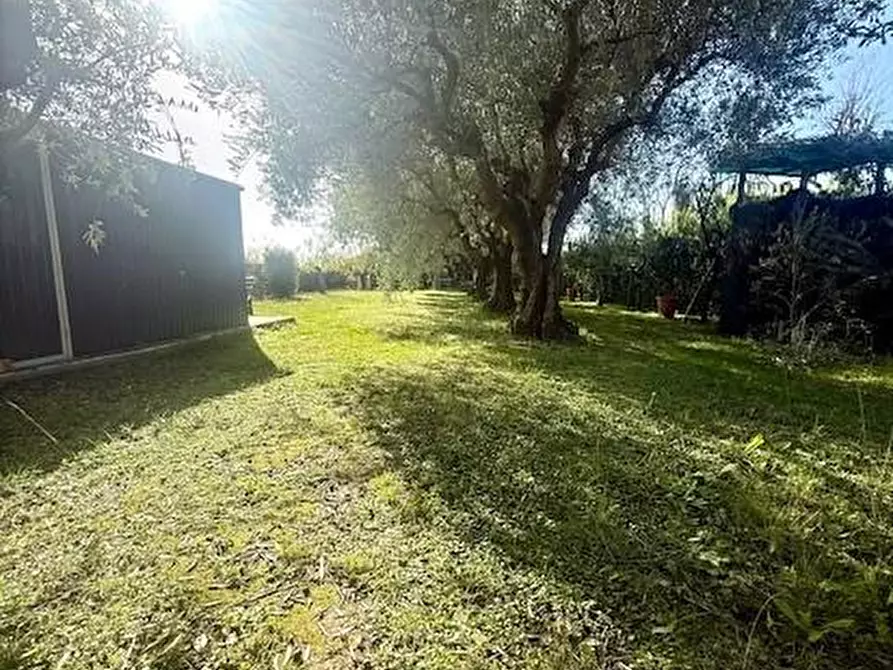 Immagine 59 di Villa in vendita  a Camaiore