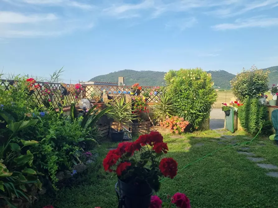 Immagine 1 di Appartamento in affitto  a Ameglia