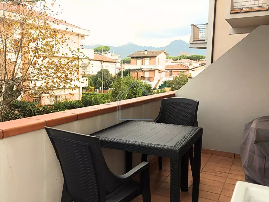 Immagine 6 di Appartamento in vendita  a Camaiore