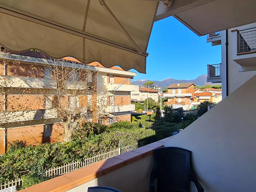 Immagine 5 di Appartamento in vendita  a Camaiore