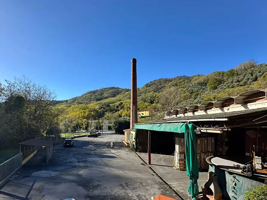 Immagine 2 di Attività artigianale in vendita  a Villa Basilica