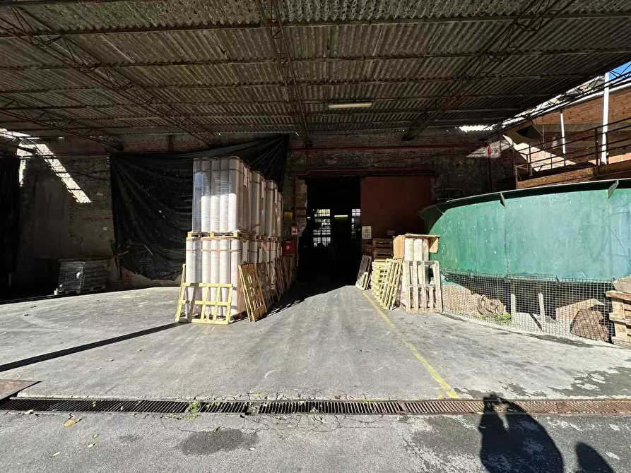 Immagine 4 di Attività artigianale in vendita  a Villa Basilica