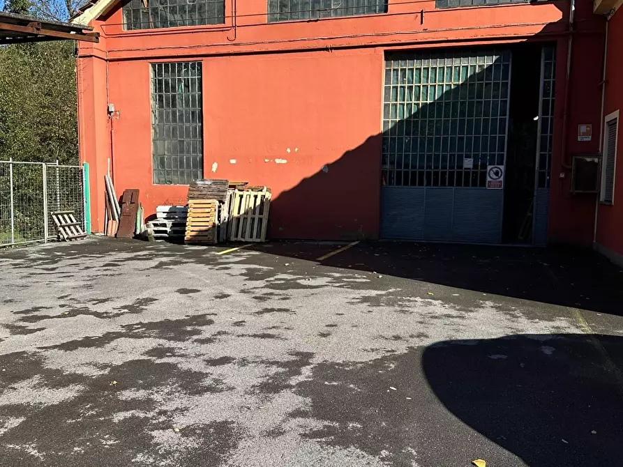 Immagine 9 di Attività artigianale in vendita  a Villa Basilica