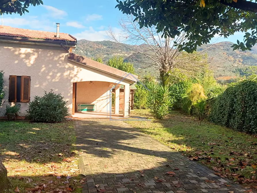 Immagine 28 di Casa bifamiliare in vendita  a Pietrasanta