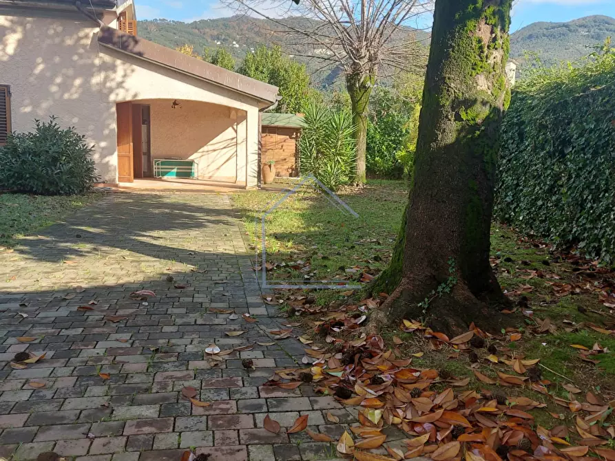 Immagine 2 di Casa bifamiliare in vendita  a Pietrasanta
