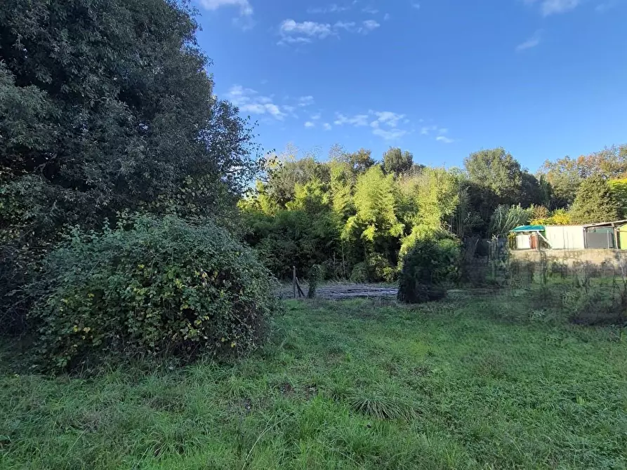 Immagine 18 di Casa indipendente in vendita  a Castelfranco Di Sotto