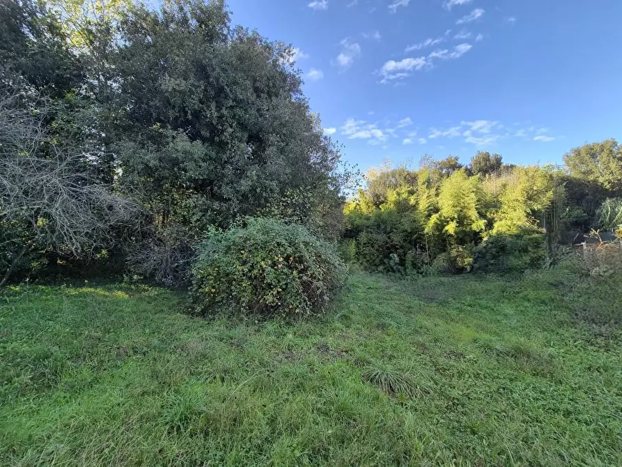 Immagine 20 di Casa indipendente in vendita  a Castelfranco Di Sotto