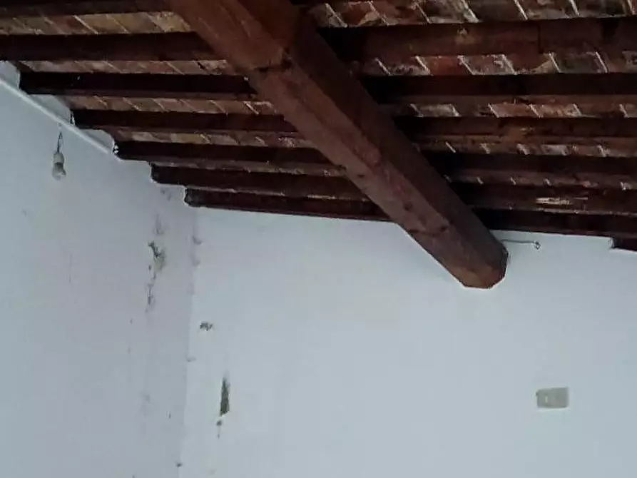 Immagine 7 di Appartamento in vendita  a Pisa