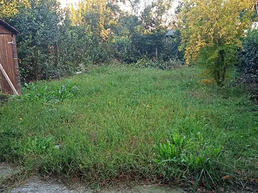 Immagine 1 di Appartamento in vendita  a Pisa