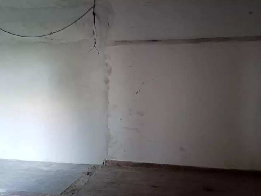 Immagine 5 di Appartamento in vendita  a Pisa