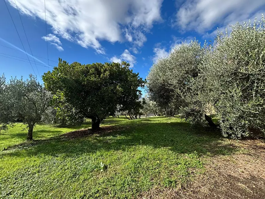 Immagine 17 di Casa colonica in vendita  a Volterra
