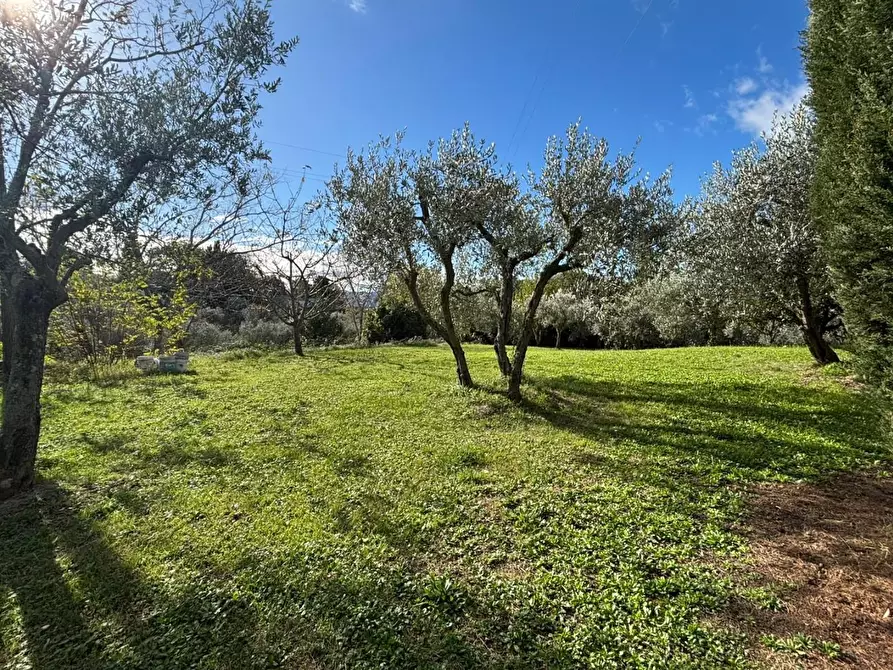 Immagine 27 di Casa colonica in vendita  a Volterra
