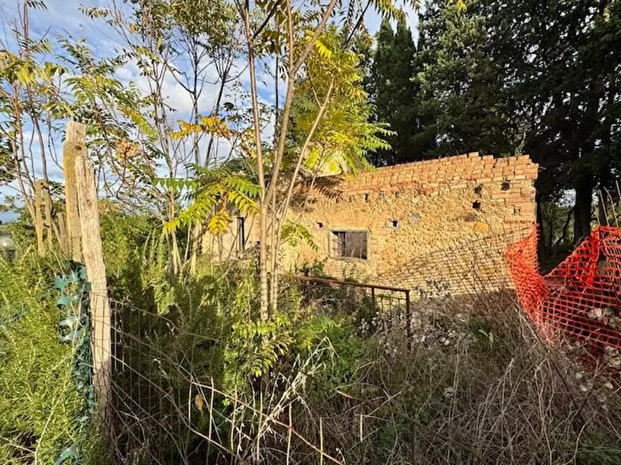 Immagine 3 di Rustico / casale in vendita  a Certaldo