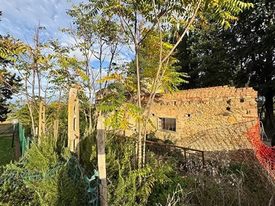 Immagine 2 di Rustico / casale in vendita  a Certaldo