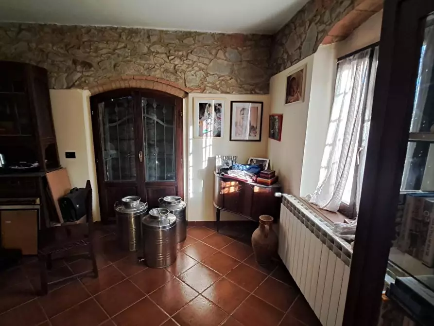 Immagine 10 di Casa colonica in vendita  a Peccioli