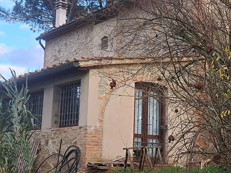 Immagine 21 di Casa colonica in vendita  a Peccioli
