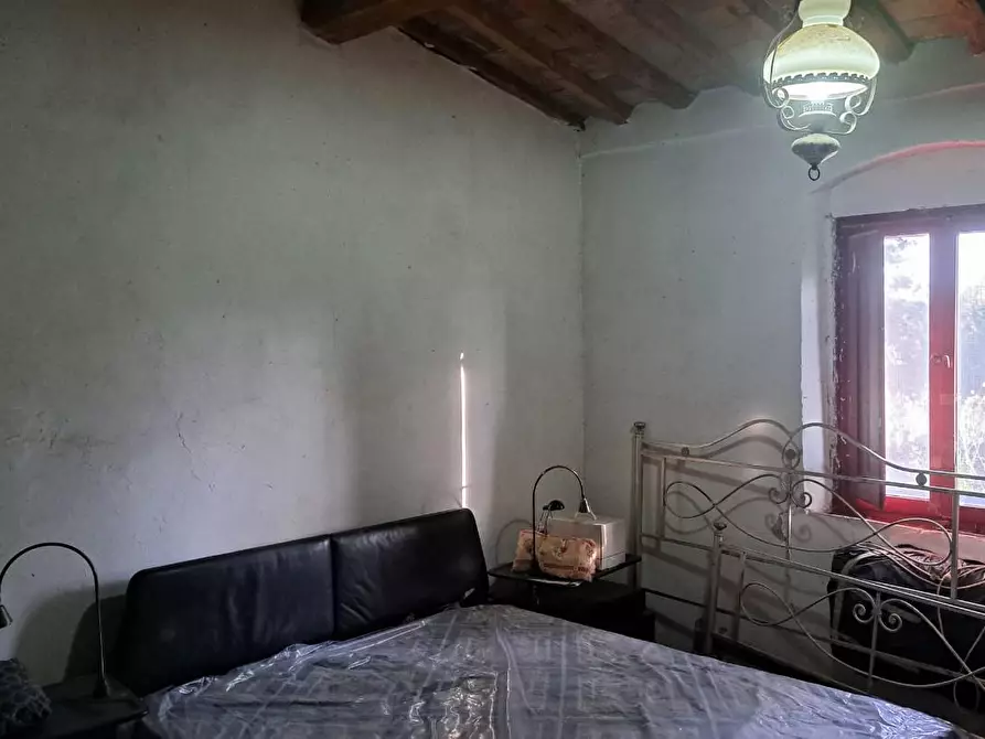 Immagine 16 di Casa colonica in vendita  a Peccioli