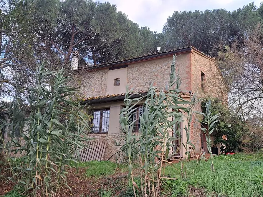 Immagine 18 di Casa colonica in vendita  a Peccioli
