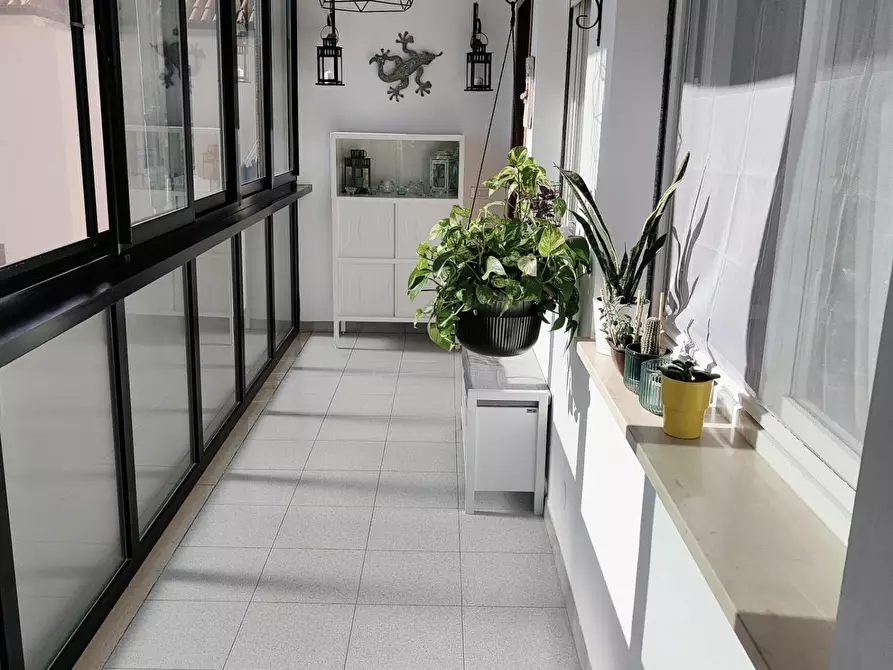 Immagine 3 di Appartamento in vendita  a Livorno