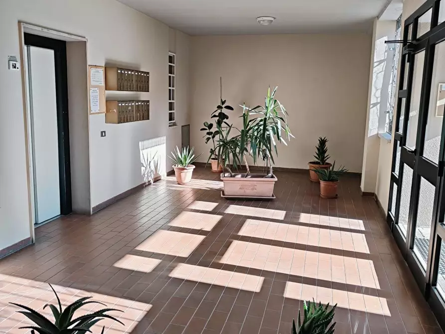 Immagine 52 di Appartamento in vendita  a Livorno