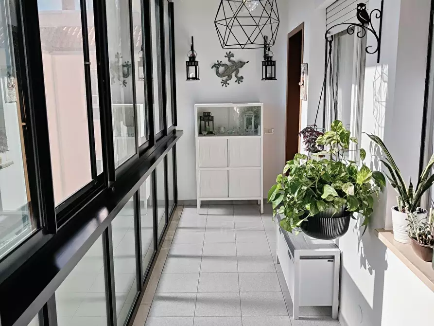 Immagine 2 di Appartamento in vendita  a Livorno