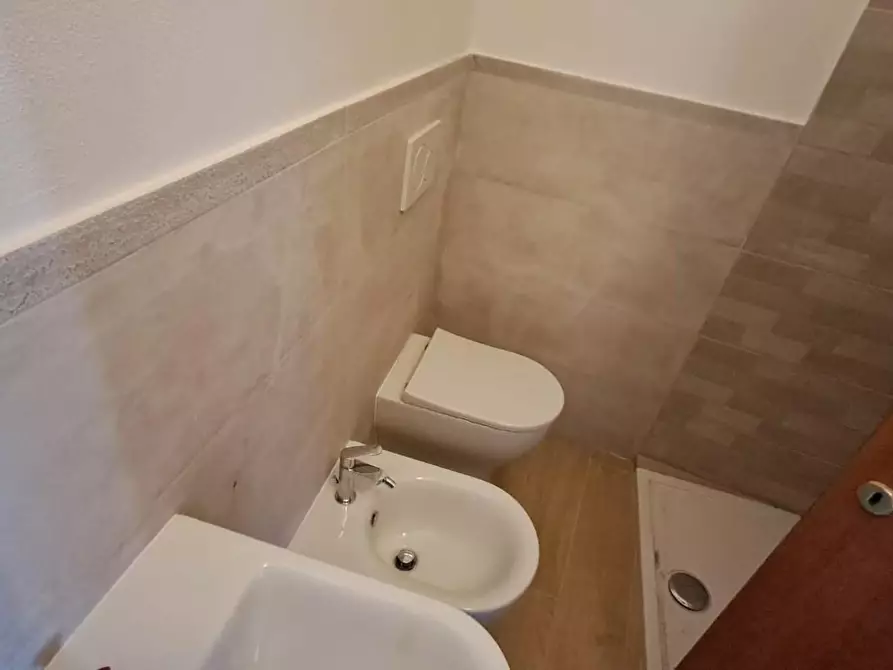 Immagine 14 di Appartamento in vendita  a Cecina