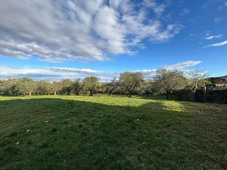 Immagine 4 di Terreno residenziale in vendita  a Terricciola