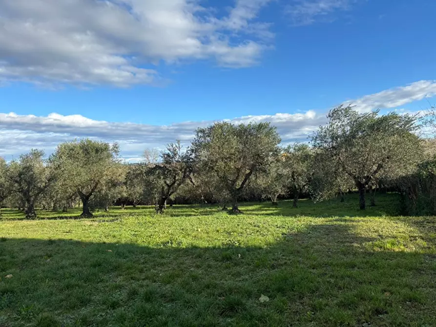 Immagine 1 di Terreno residenziale in vendita  a Terricciola