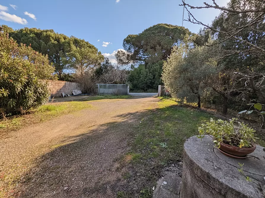 Immagine 20 di Attività artigianale in vendita  a Casciana Terme Lari