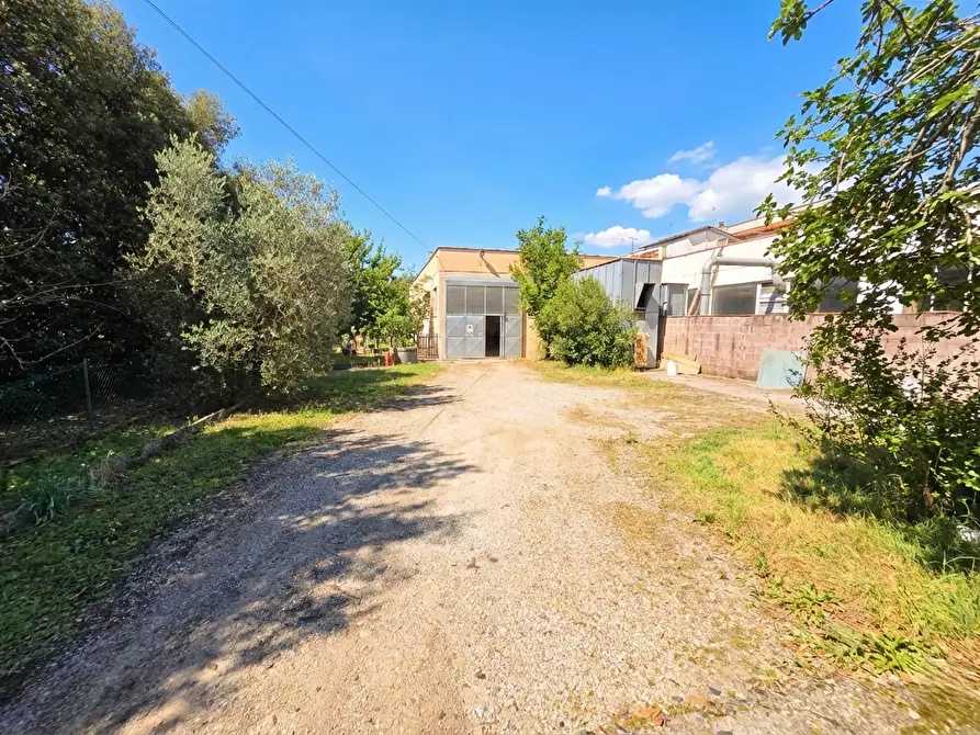 Immagine 1 di Attività artigianale in vendita  a Casciana Terme Lari