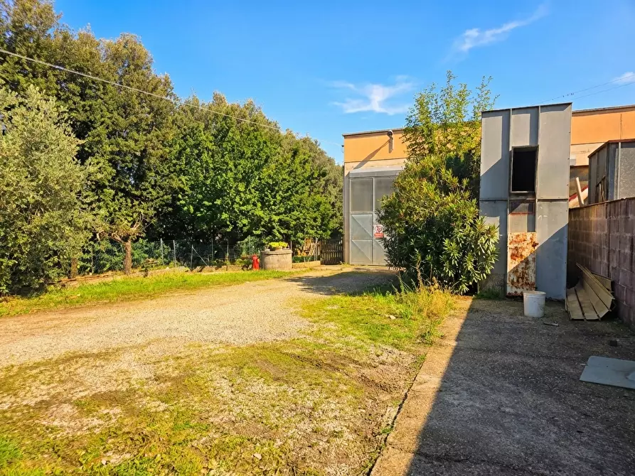 Immagine 21 di Attività artigianale in vendita  a Casciana Terme Lari