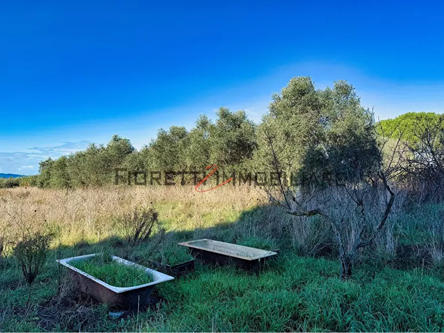 Immagine 11 di Terreno agricolo in vendita  a Piombino