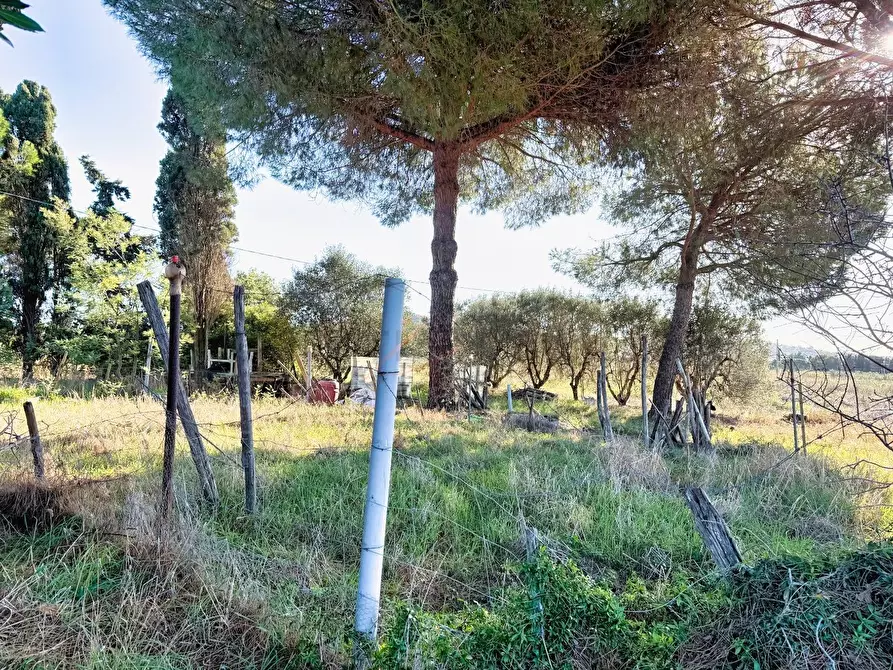 Immagine 13 di Terreno agricolo in vendita  a Piombino