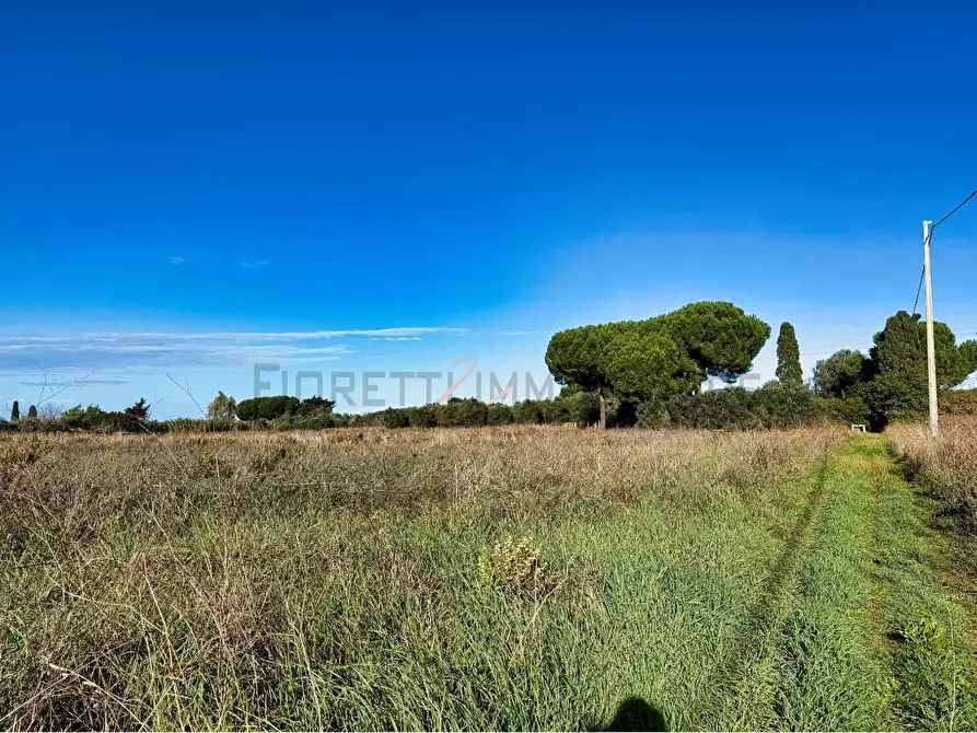 Immagine 2 di Terreno agricolo in vendita  a Piombino