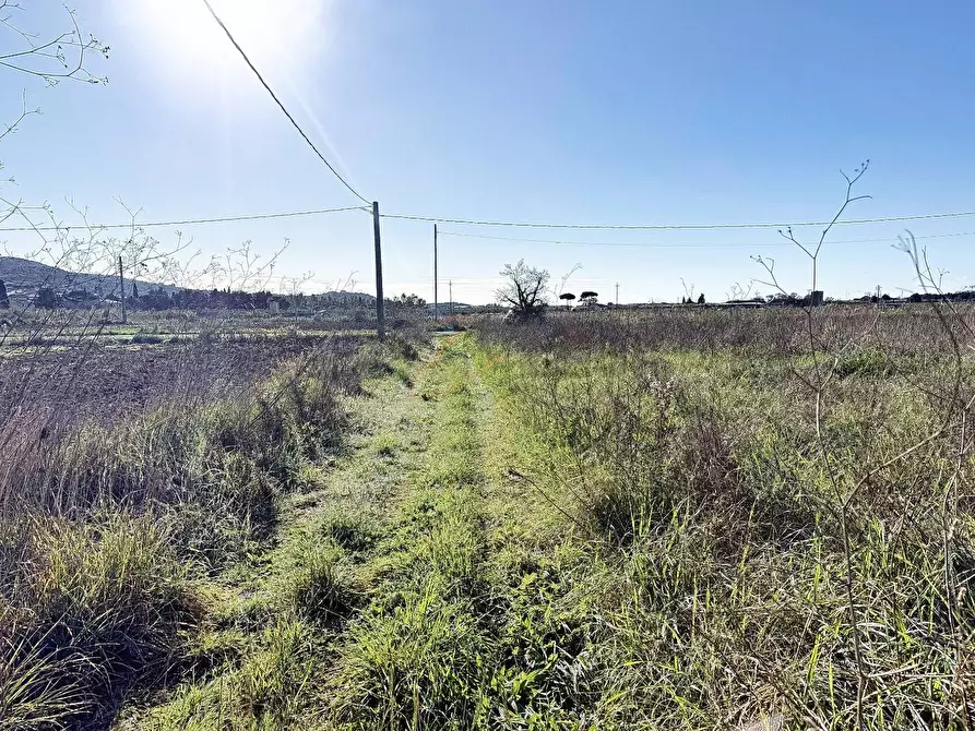 Immagine 15 di Terreno agricolo in vendita  a Piombino